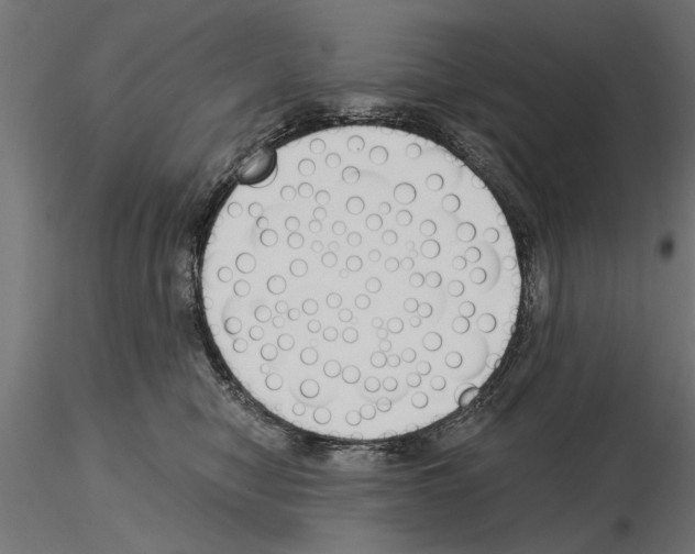 X0000115240470200912111058