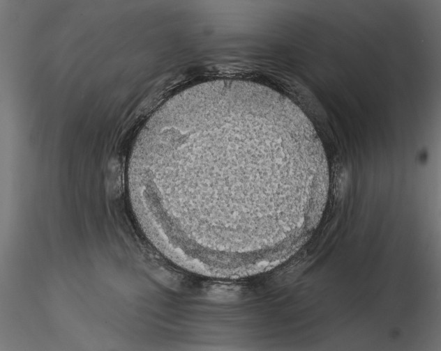 X0000115240471200912111058