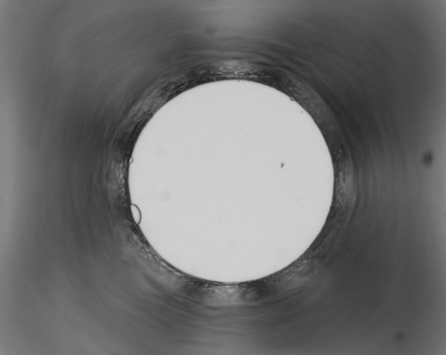 X0000115240473200912111058