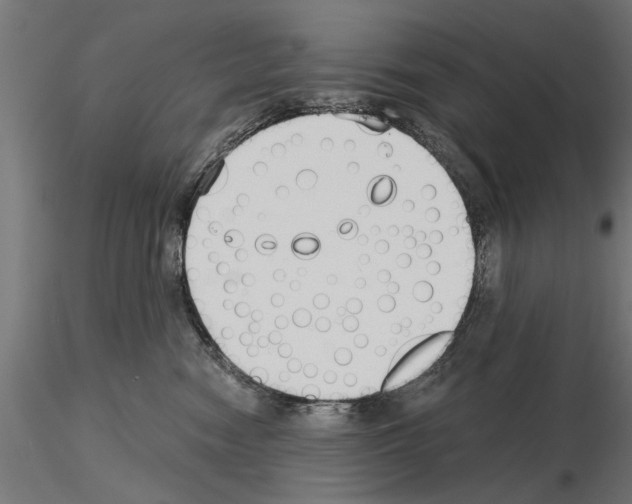 X0000115240474200912111058