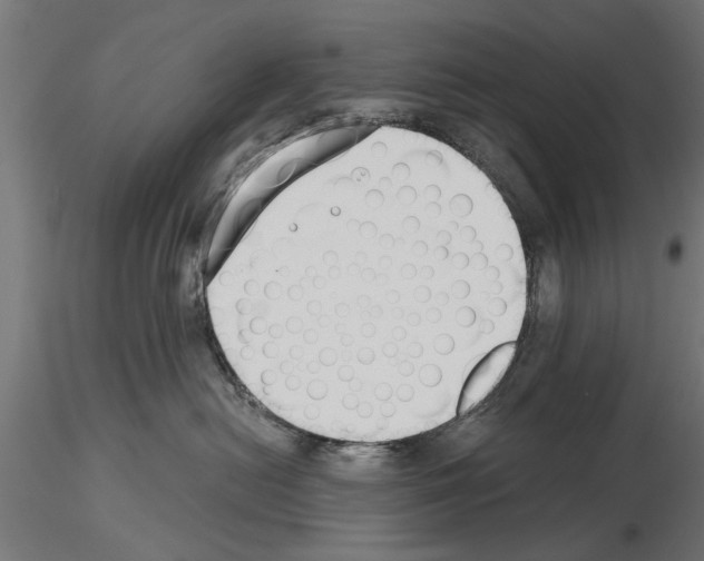 X0000115240478200912111058