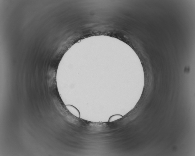 X0000115240480200912111058