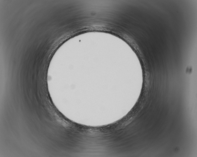 X0000115240481200912111058