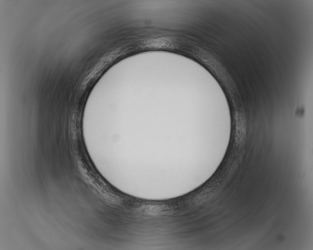 X0000115240482200912111058