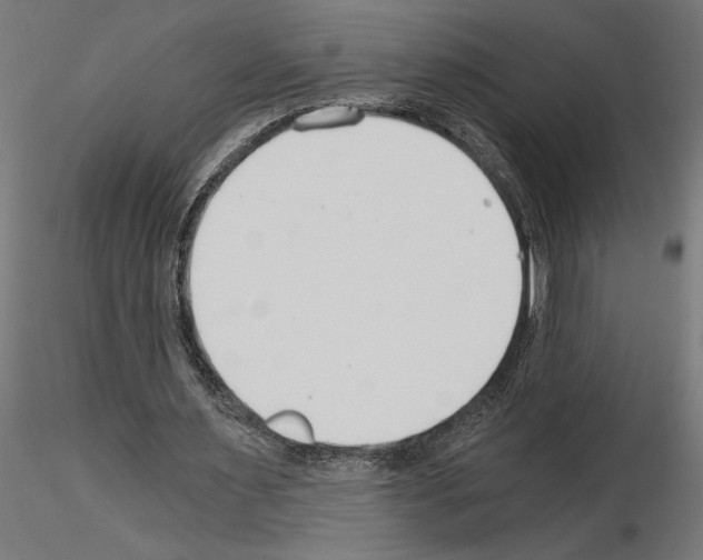 X0000115240483200912111058