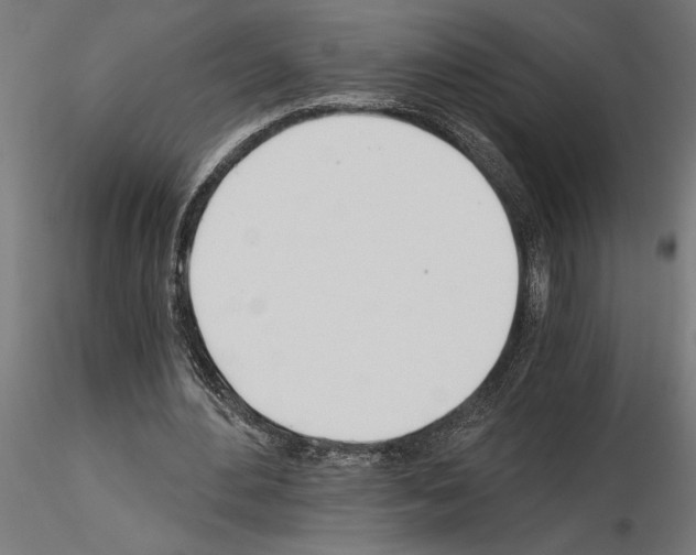 X0000115240484200912111058