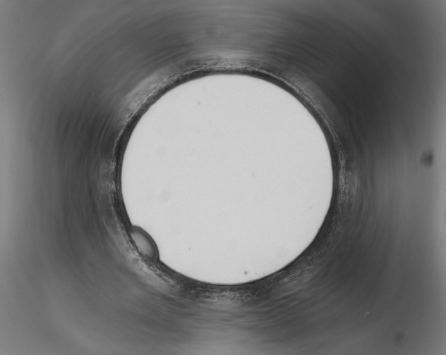 X0000115240485200912111058