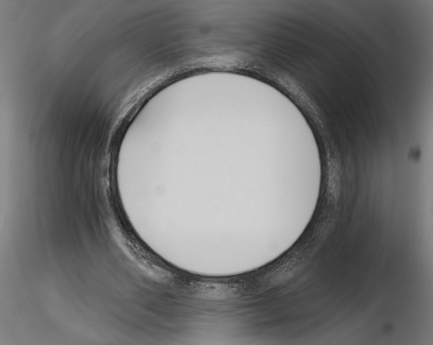 X0000115240486200912111058