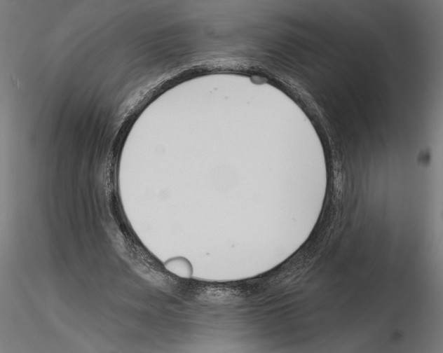 X0000115240487200912111058