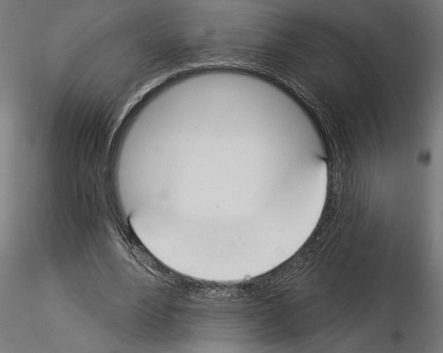 X0000115240488200912111058