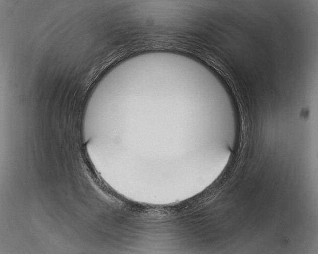 X0000115240489200912111058