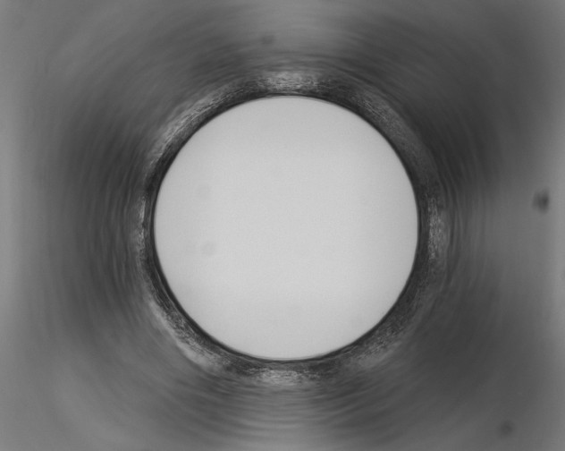 X0000115240490200912111058