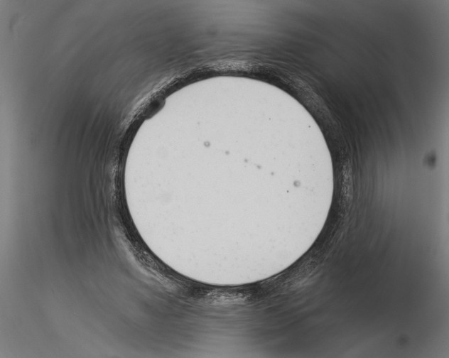 X0000115240491200912111057