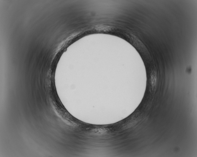 X0000115240492200912111057