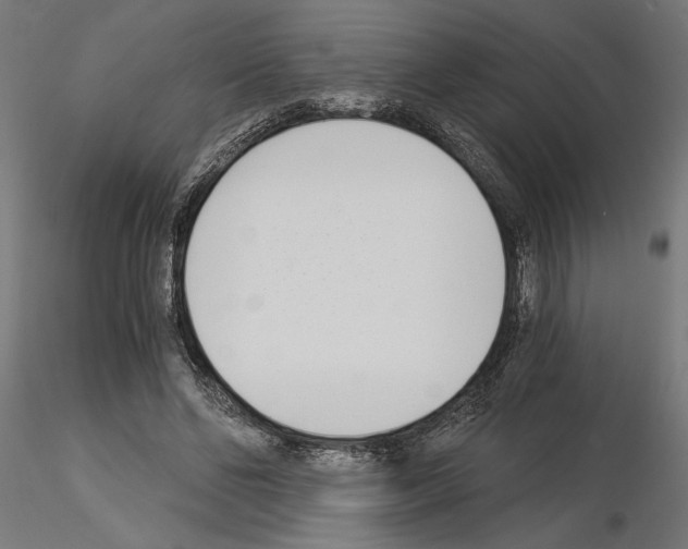 X0000115240494200912111057