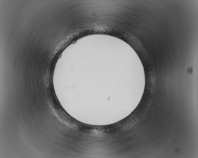 X0000115240496200912111057