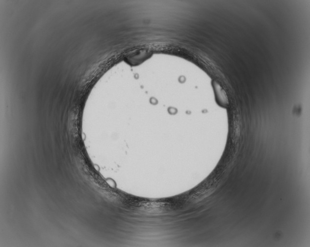 X0000115240497200912111057