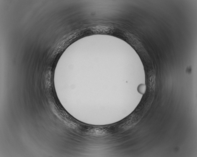 X0000115240498200912111057