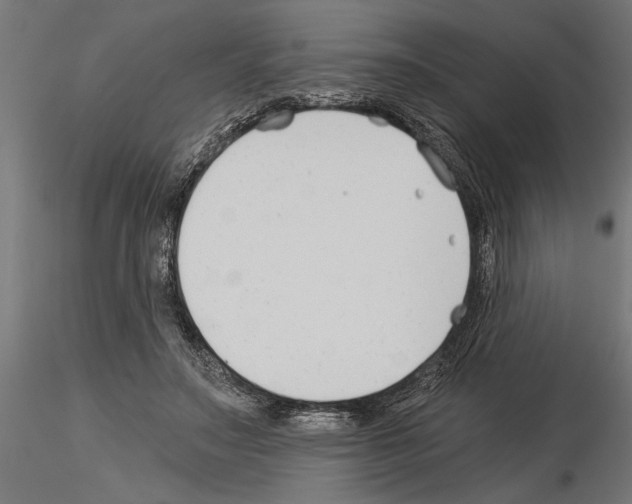 X0000115240499200912111057