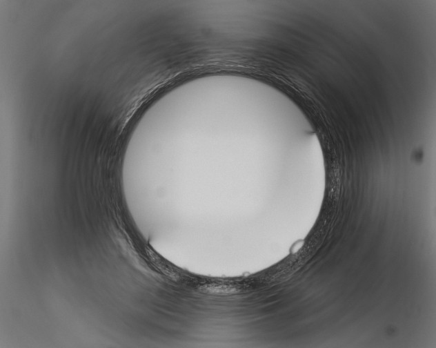 X0000115240500200912111057