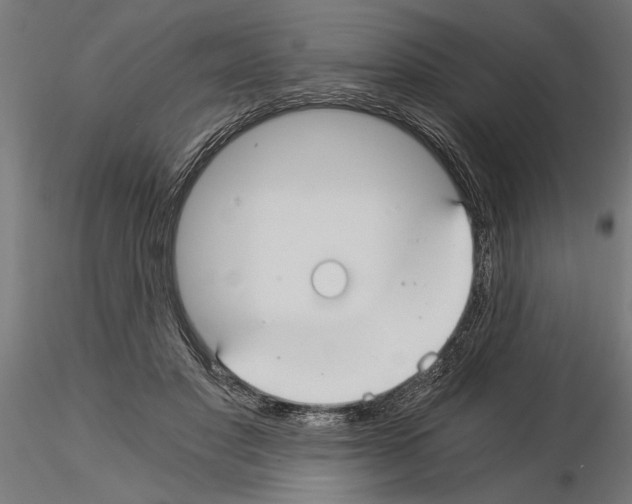 X0000115240501200912111057