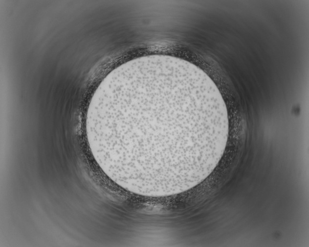 X0000115240502200912111057