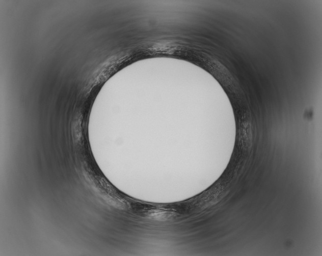 X0000115240504200912111057