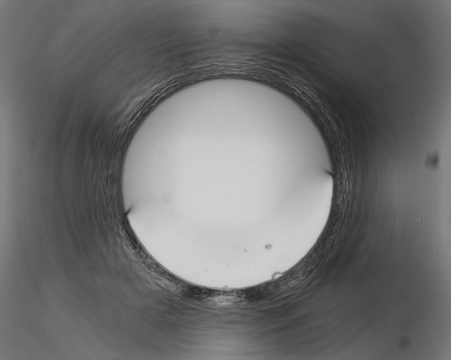 X0000115240505200912111057