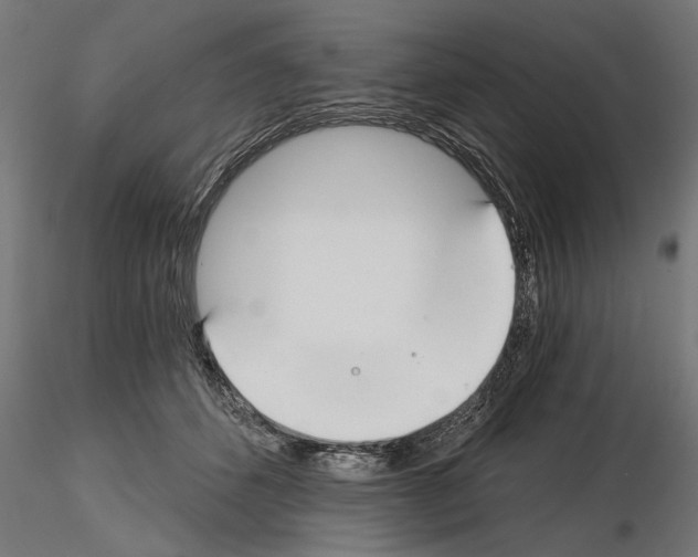 X0000115240512200912111057