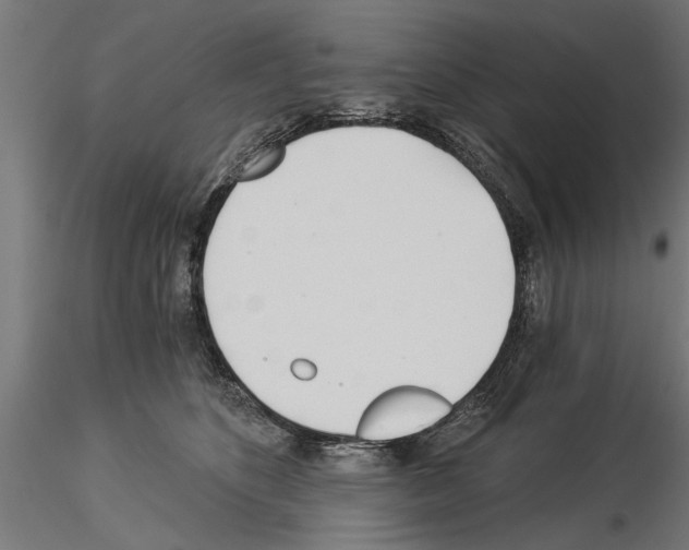 X0000115240516200912111057