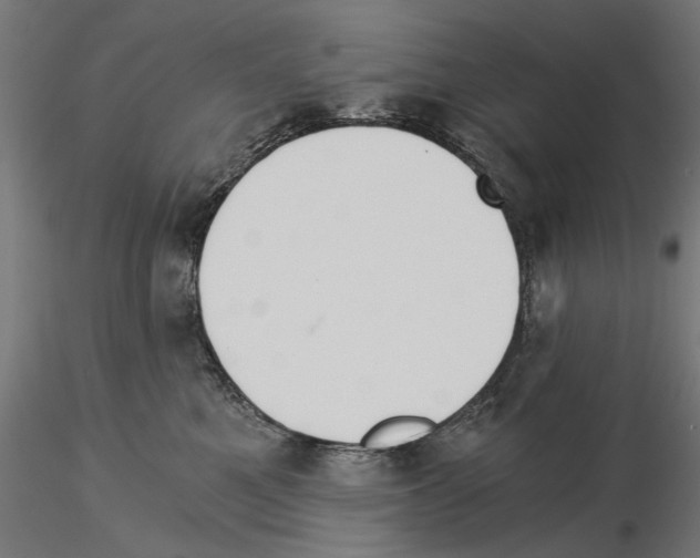 X0000115240521200912111057