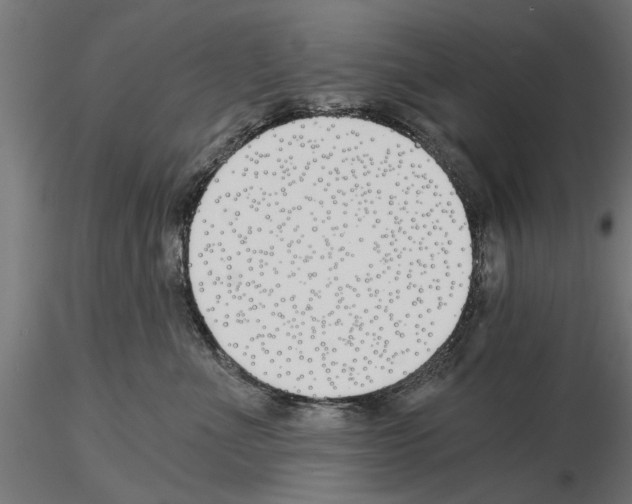 X0000115240523200912111057