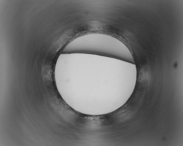 X0000115240524200912111057