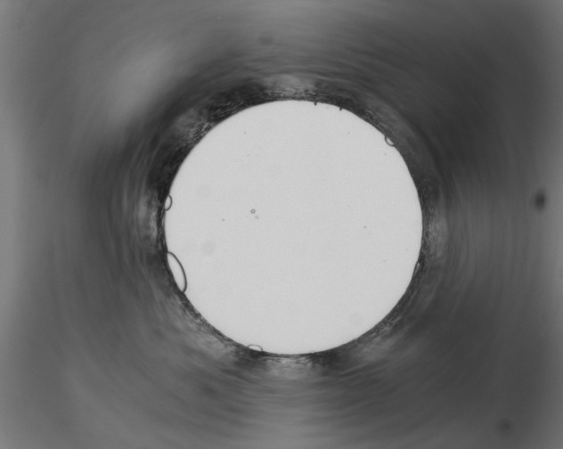 X0000115240525200912111057