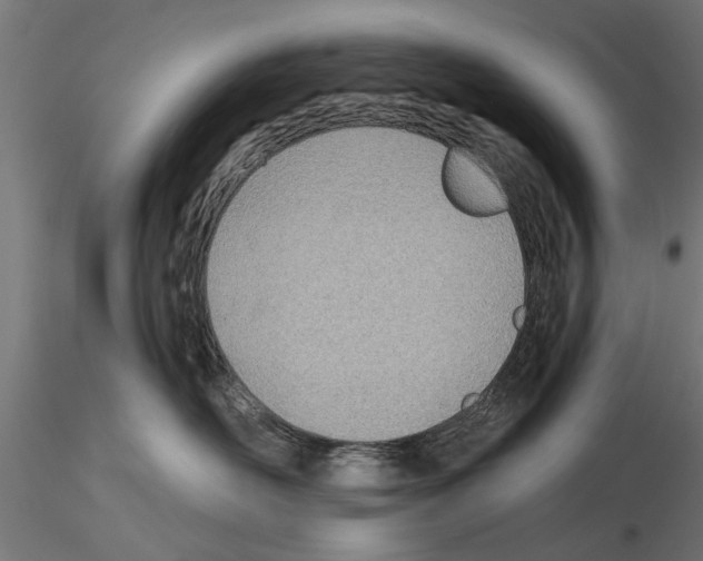 X0000115240526200912111057