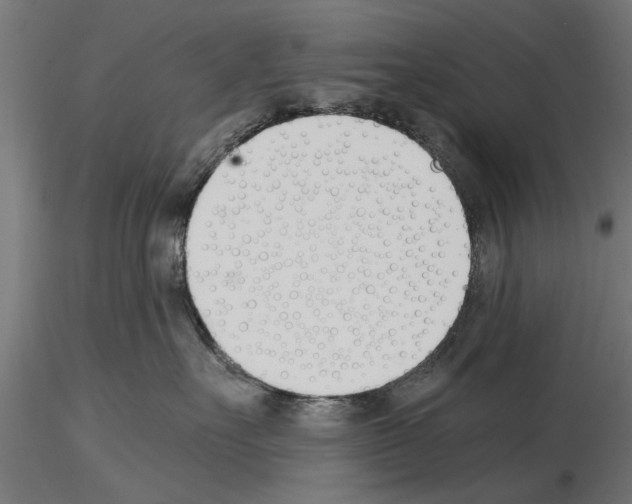 X0000115240527200912111057