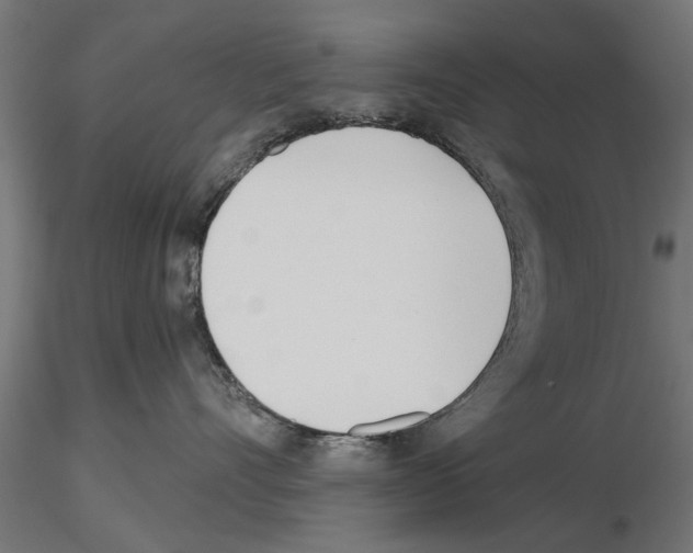 X0000115240528200912111057