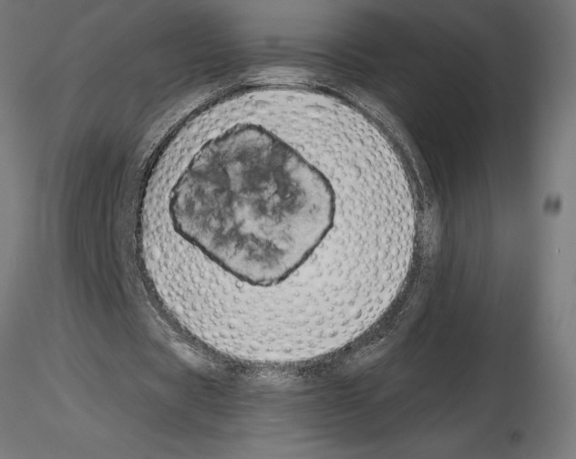 X0000115240529200912111056