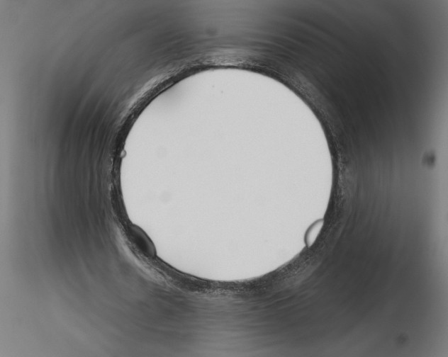 X0000115240530200912111056