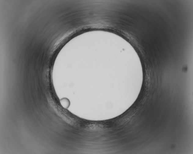 X0000115240535200912111056