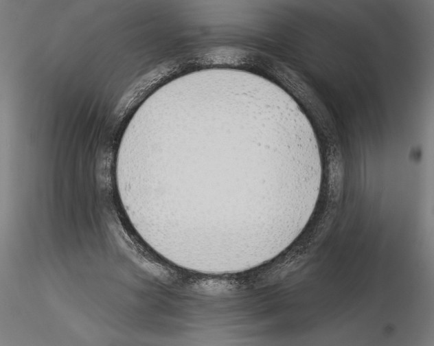 X0000115240537200912111056