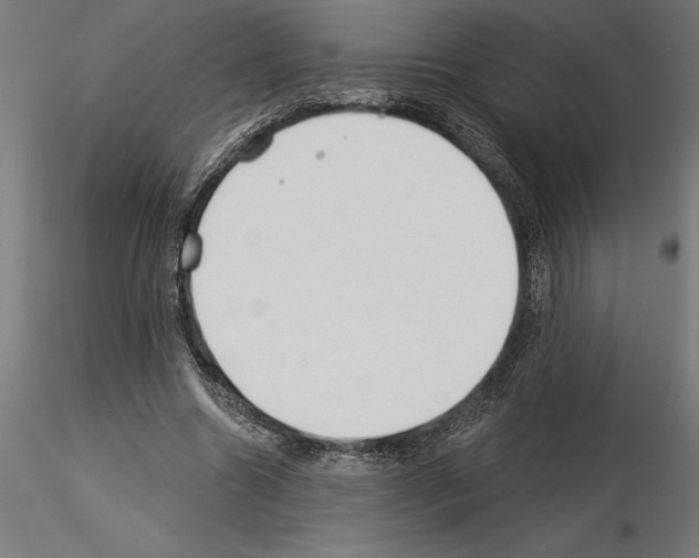 X0000115240538200912111056