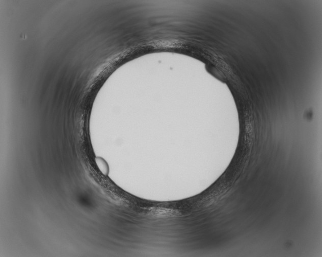 X0000115240539200912111056