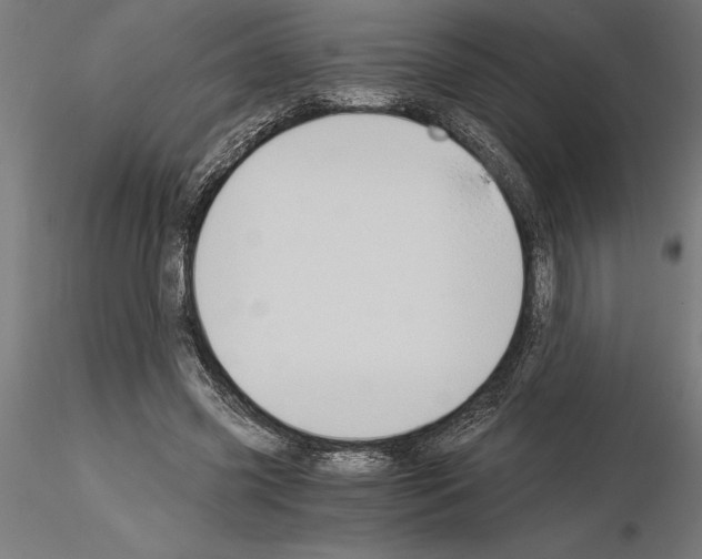 X0000115240541200912111056