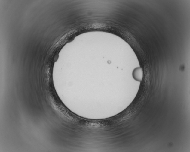 X0000115240542200912111057