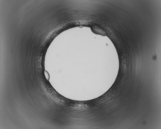 X0000115240543200912111057