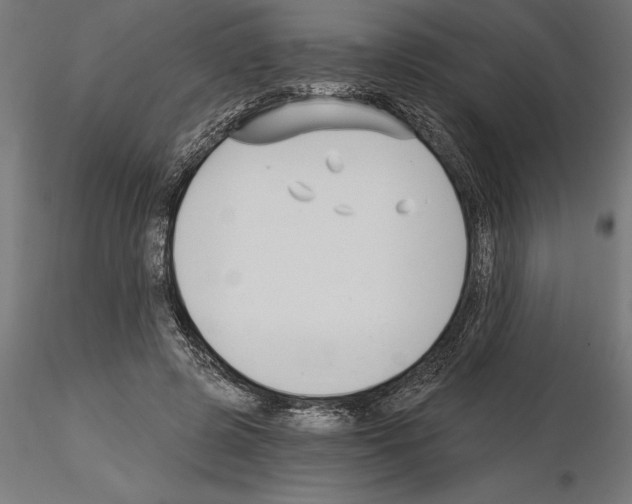 X0000115240545200912111057