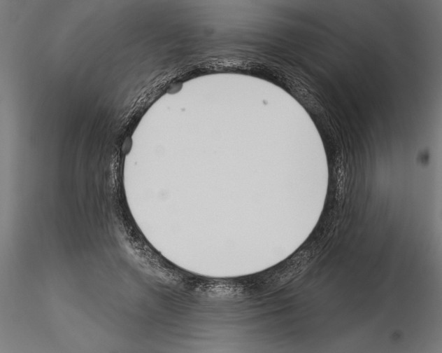 X0000115240546200912111057