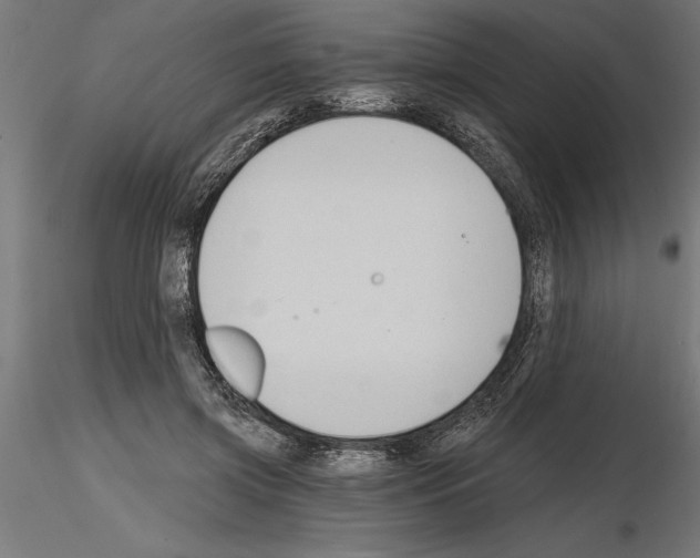 X0000115240549200912111057