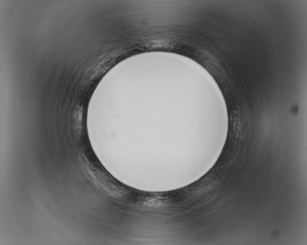 X0000115240550200912111057